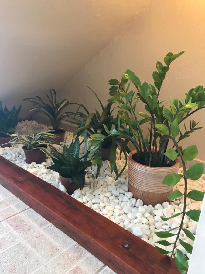 Pousada Ilha Do Encanto Velha Boipeba 외부 사진