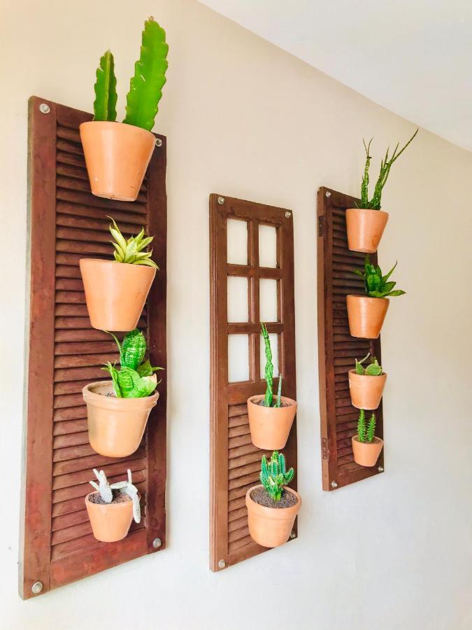 Pousada Ilha Do Encanto Velha Boipeba 외부 사진